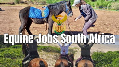 Equine Jobs South Africa