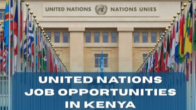United Nations Job Opportunities In Kenya